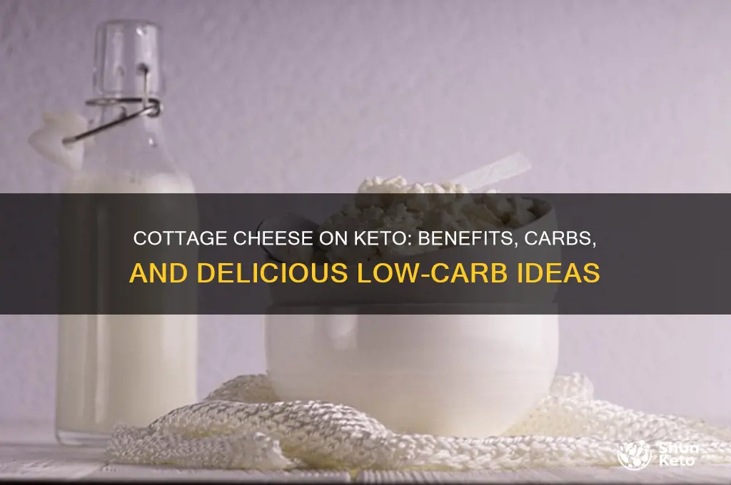 is cottage cheese good to eat on a keto diet