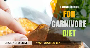 Carnivore Diet: Is Cottage Cheese Allowed?
