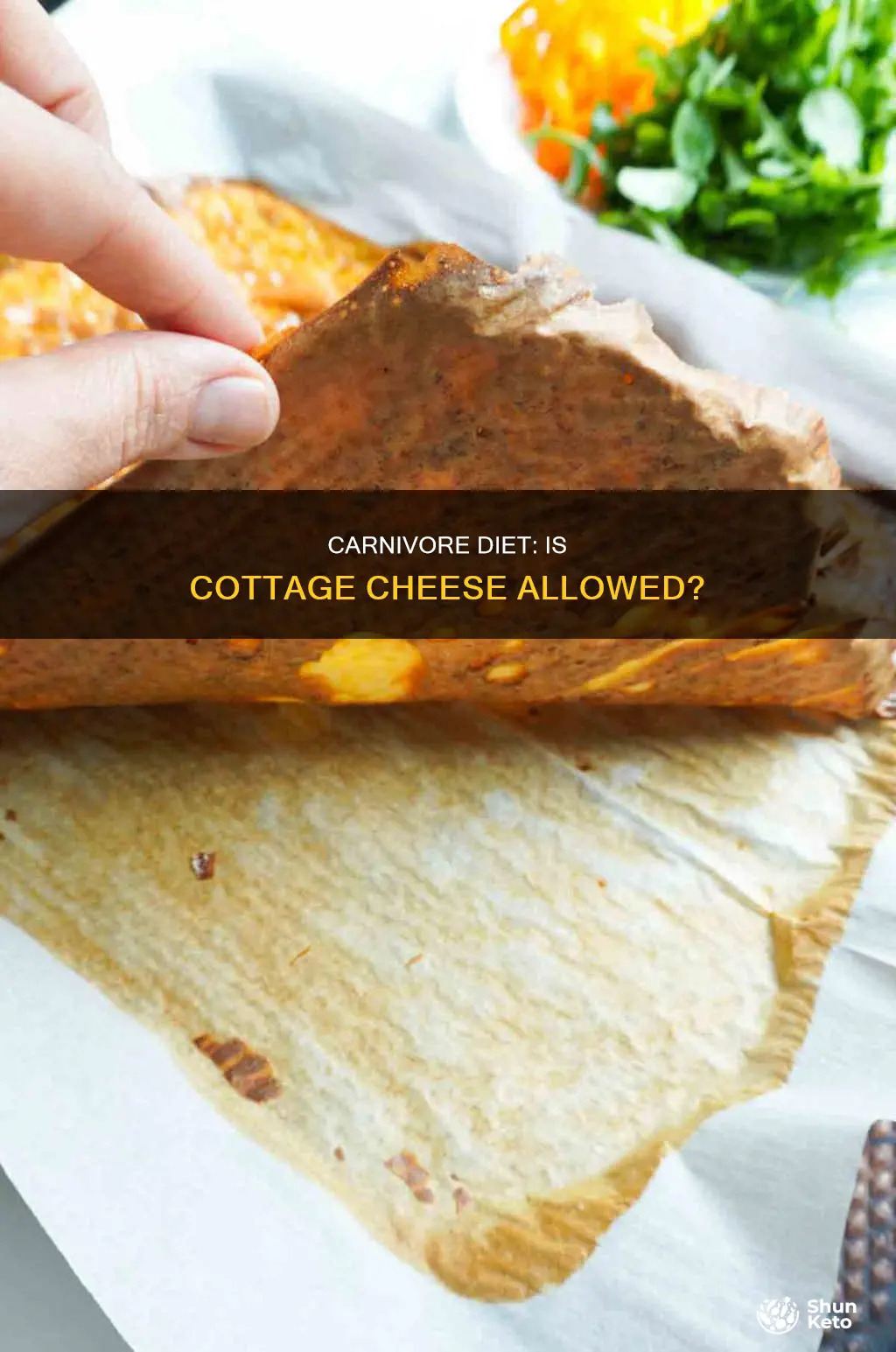 is cottage cheese ok for carnivore diet