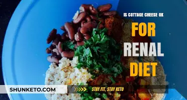 Cottage Cheese and Renal Diets: What's the Verdict?