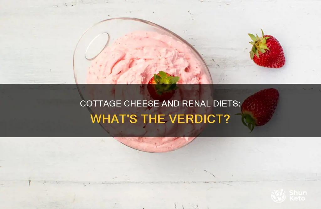 is cottage cheese ok for renal diet