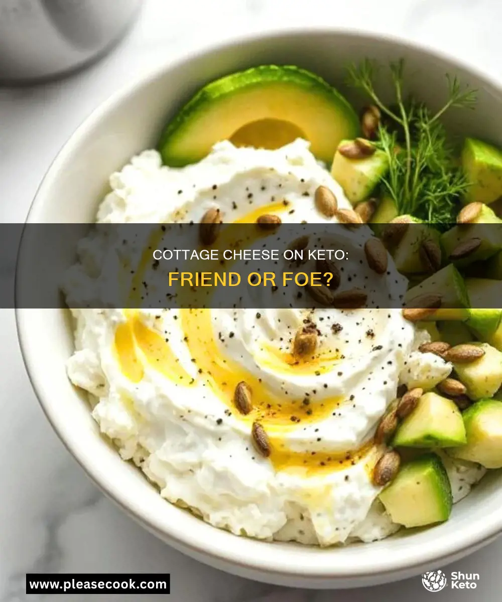 is cottage cheese ok on a ketogenic diet