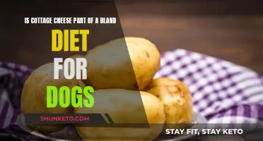 Cottage Cheese: A Healthy Bland Diet Option for Dogs?
