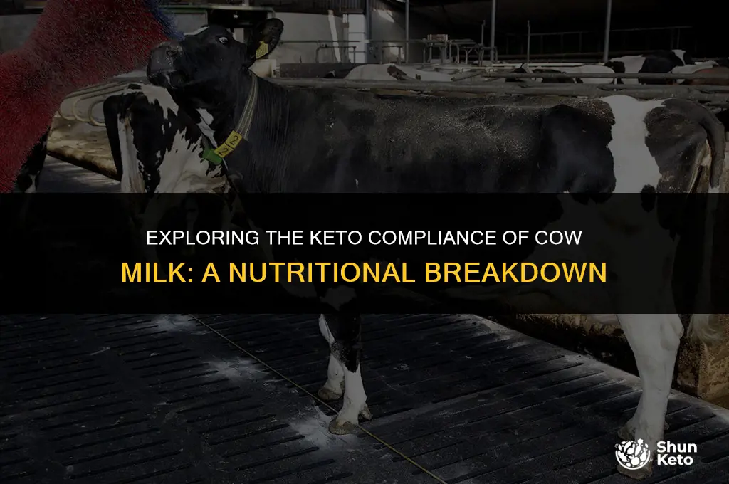 is cow milk keto compliant