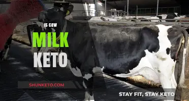 Is Cow Milk Keto-Friendly? A Comprehensive Guide for Dairy Lovers