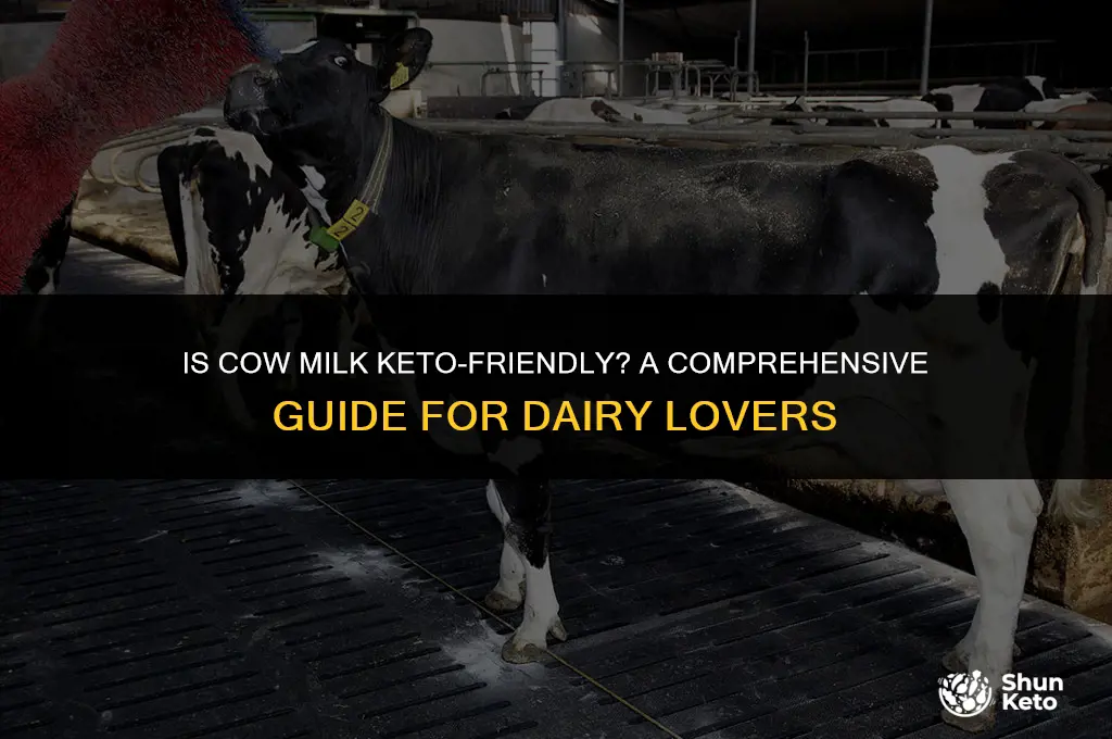 is cow milk keto