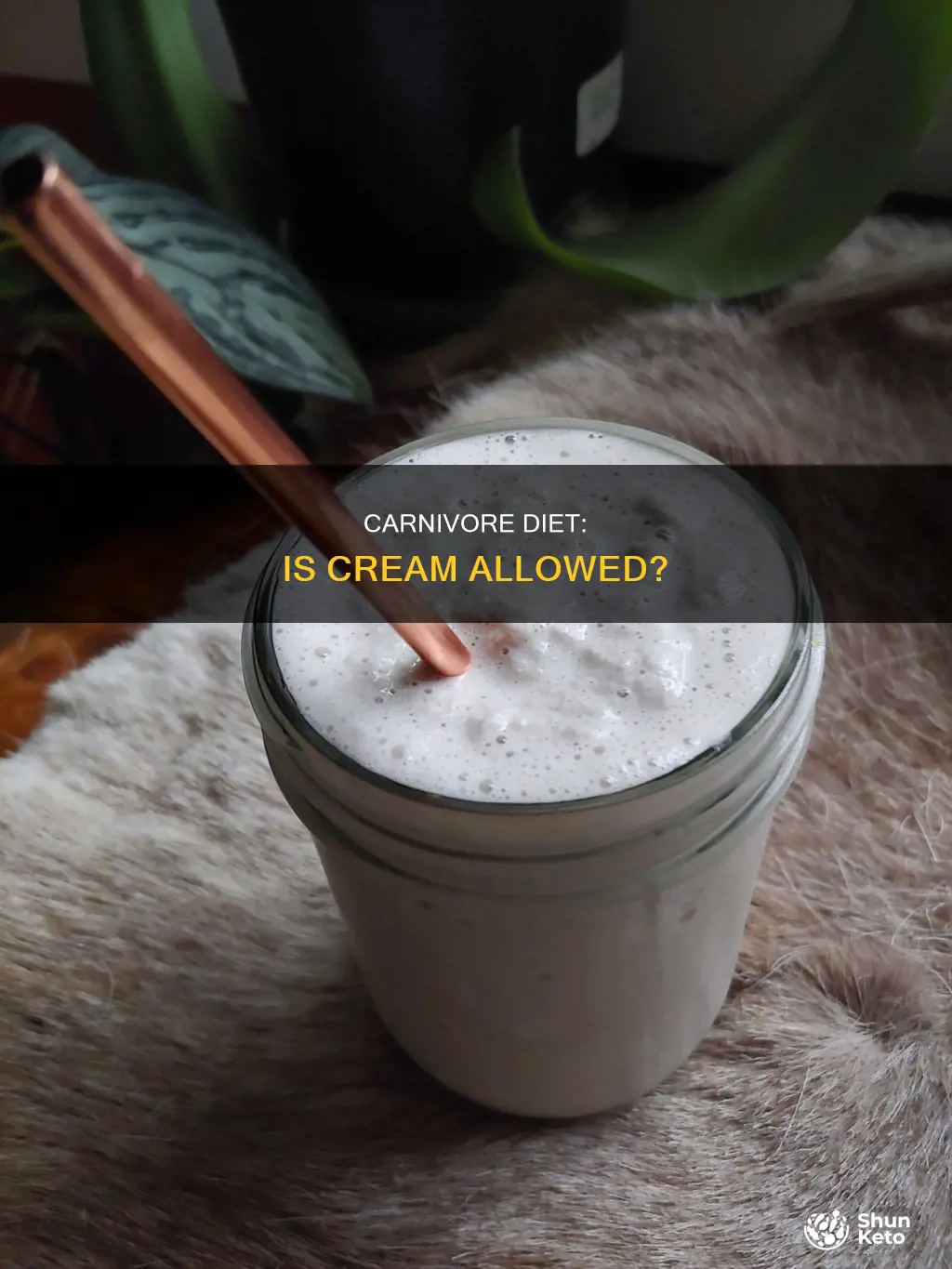 is cream allowed on carnivore diet
