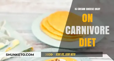 Cream Cheese on Carnivore Diet: Yay or Nay?