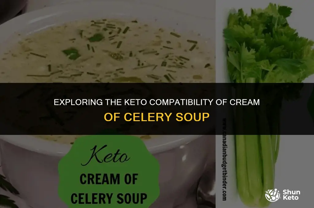 is cream of celery soup keto friendly