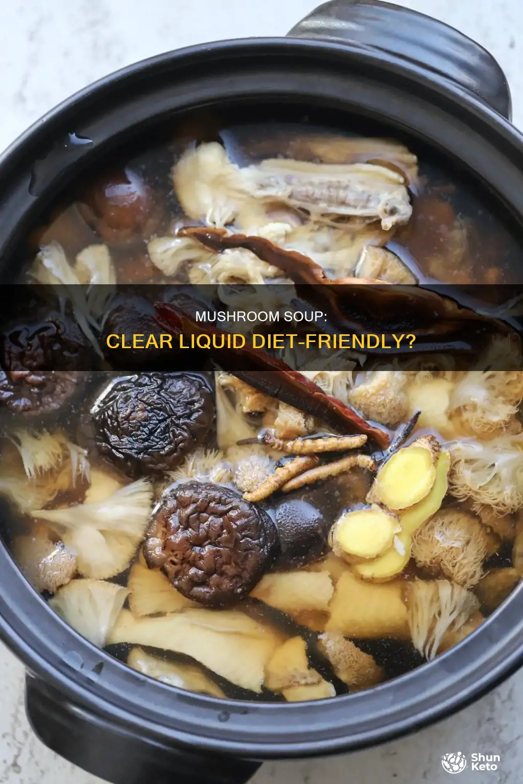 is cream of mushroom part of a clear liquid diet