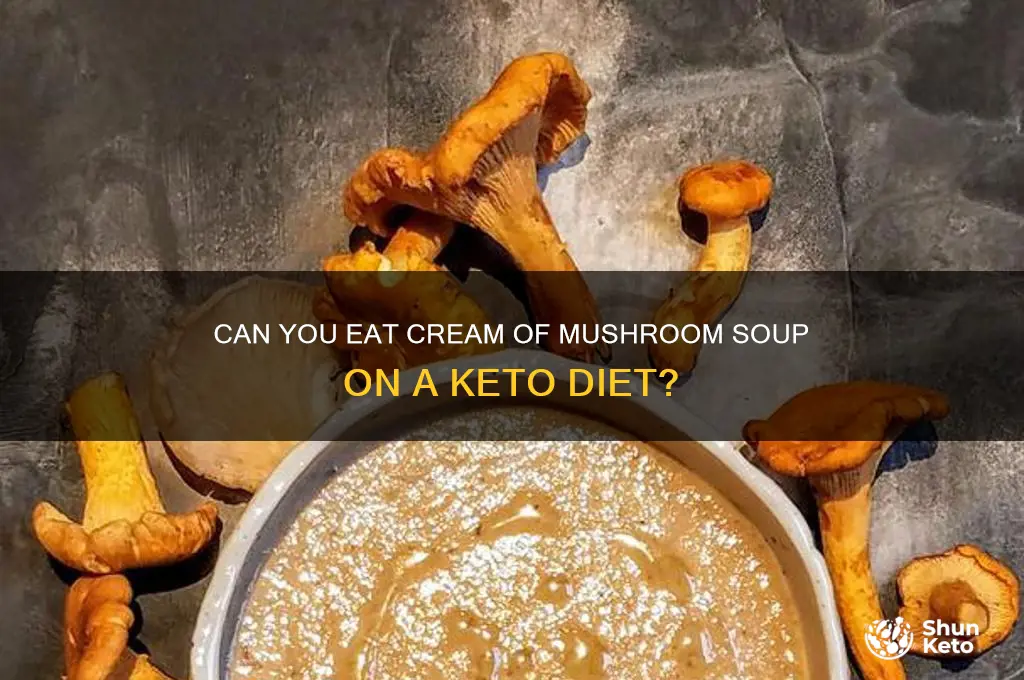 is cream of mushroom soup allowed on keto diet