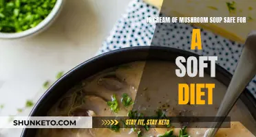 Mushroom Soup: Soft Diet-Friendly Comfort Food?