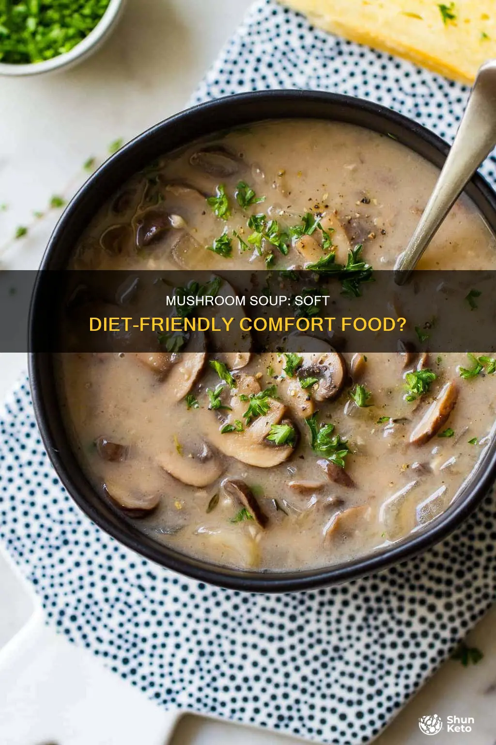 is cream of mushroom soup safe for a soft diet