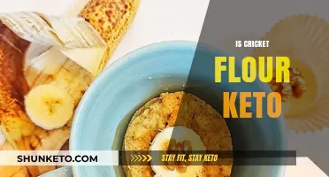 Exploring the Keto-Friendly Potential of Cricket Flour
