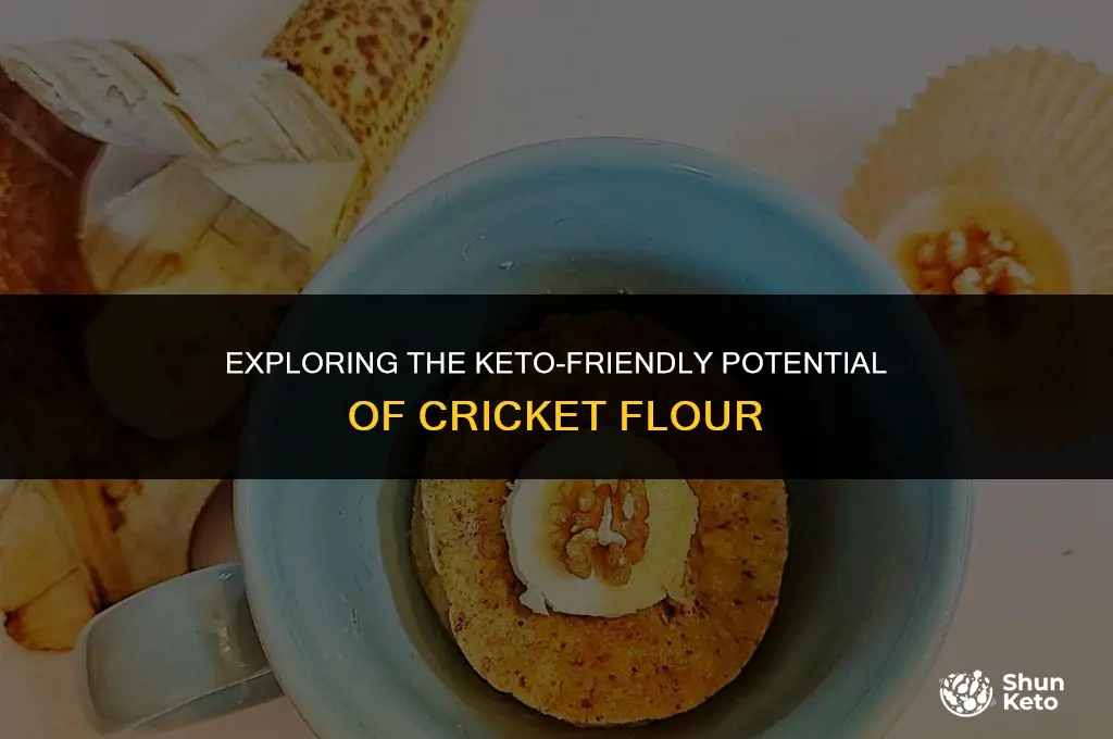 is cricket flour keto
