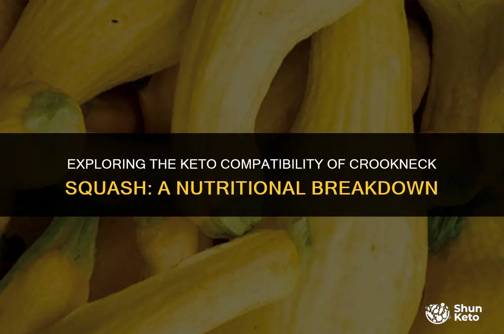 is crookneck squash keto friendly