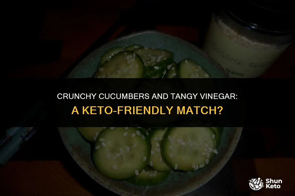 is cucumber and vinegar keto friendly