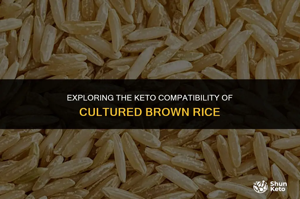 is cultured brown rice keto