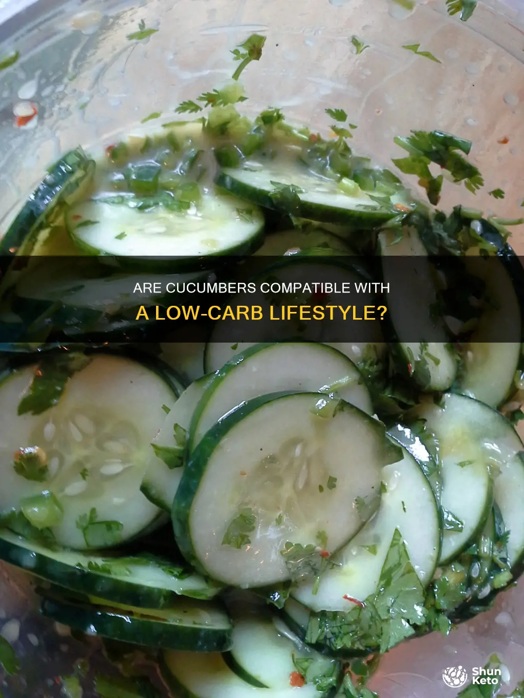 is cumcumbers ok for ablow carb diet
