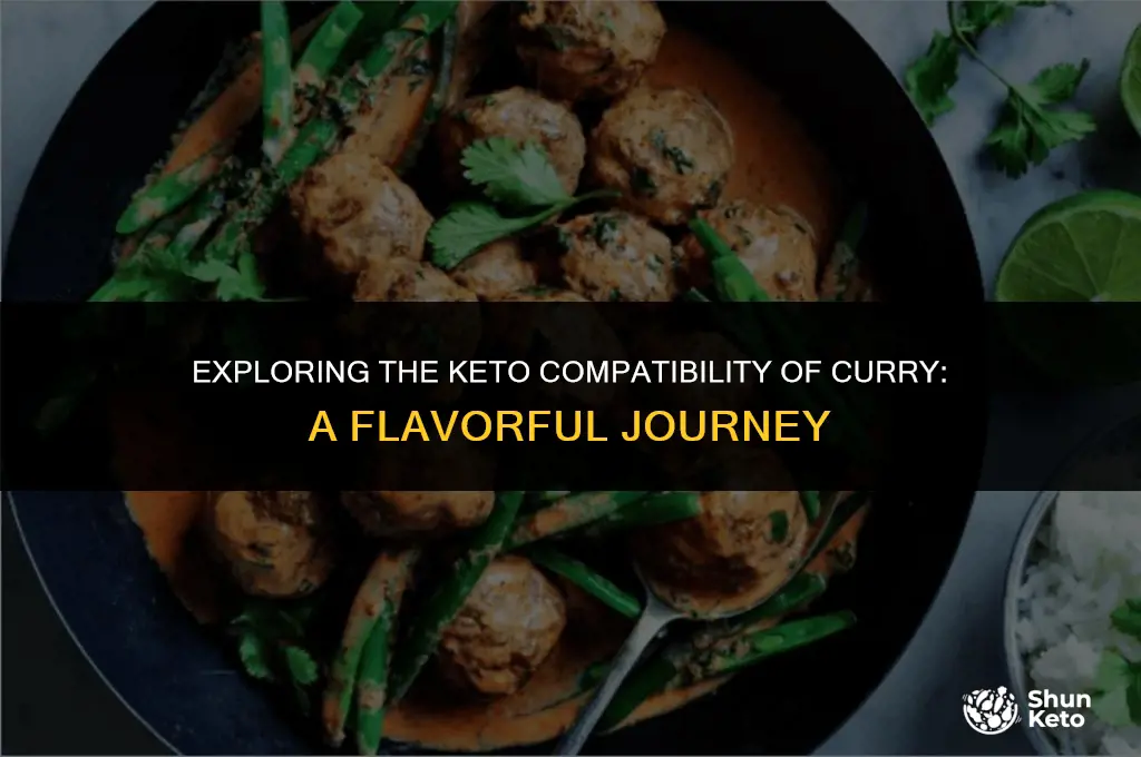 is curry a keto