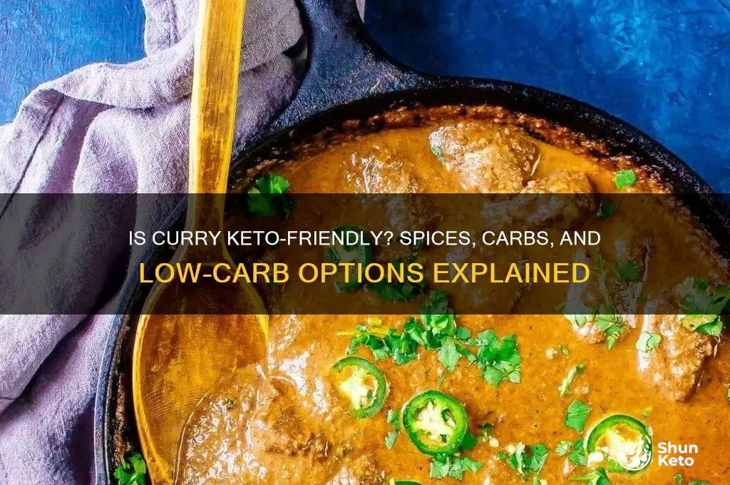 is curry keto
