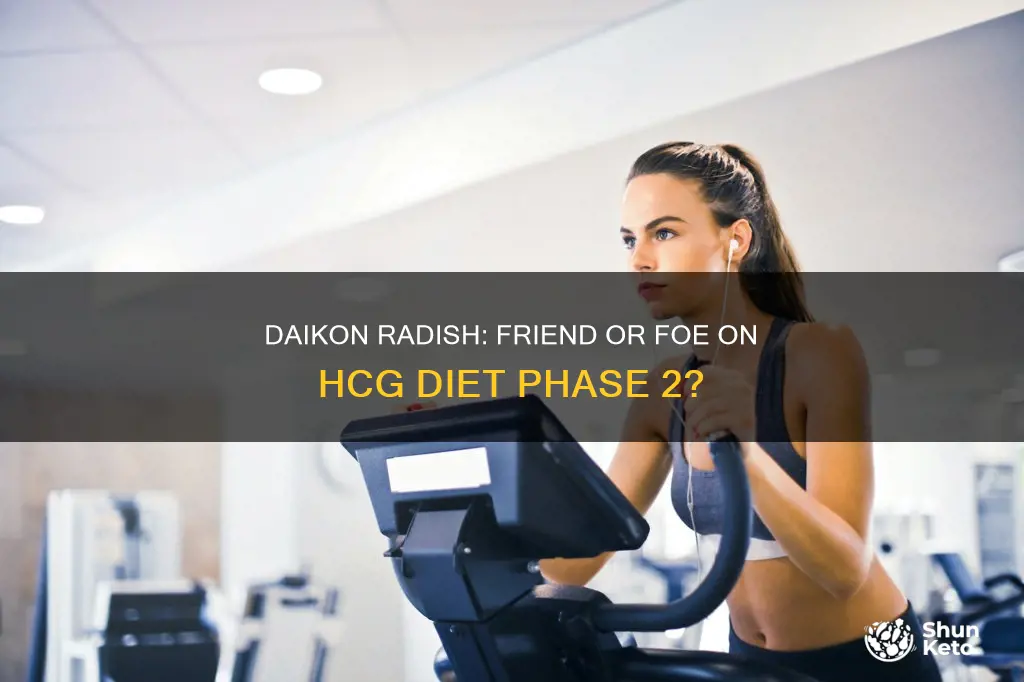 is daikon radish ok on hcg diet phase 2