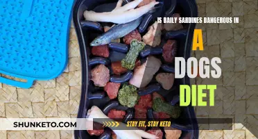 Sardines for Dogs: Safe Daily Treat or Dangerous Diet?