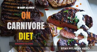 Carnivore Diet: Is Dairy Allowed or Not?