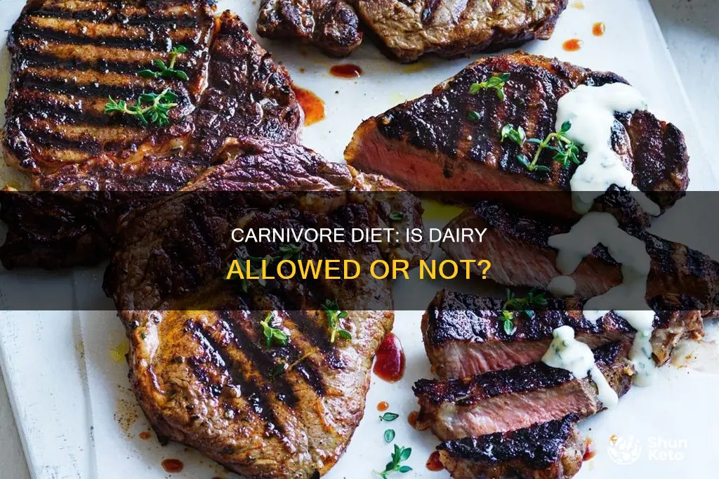is dairy allowed on carnivore diet