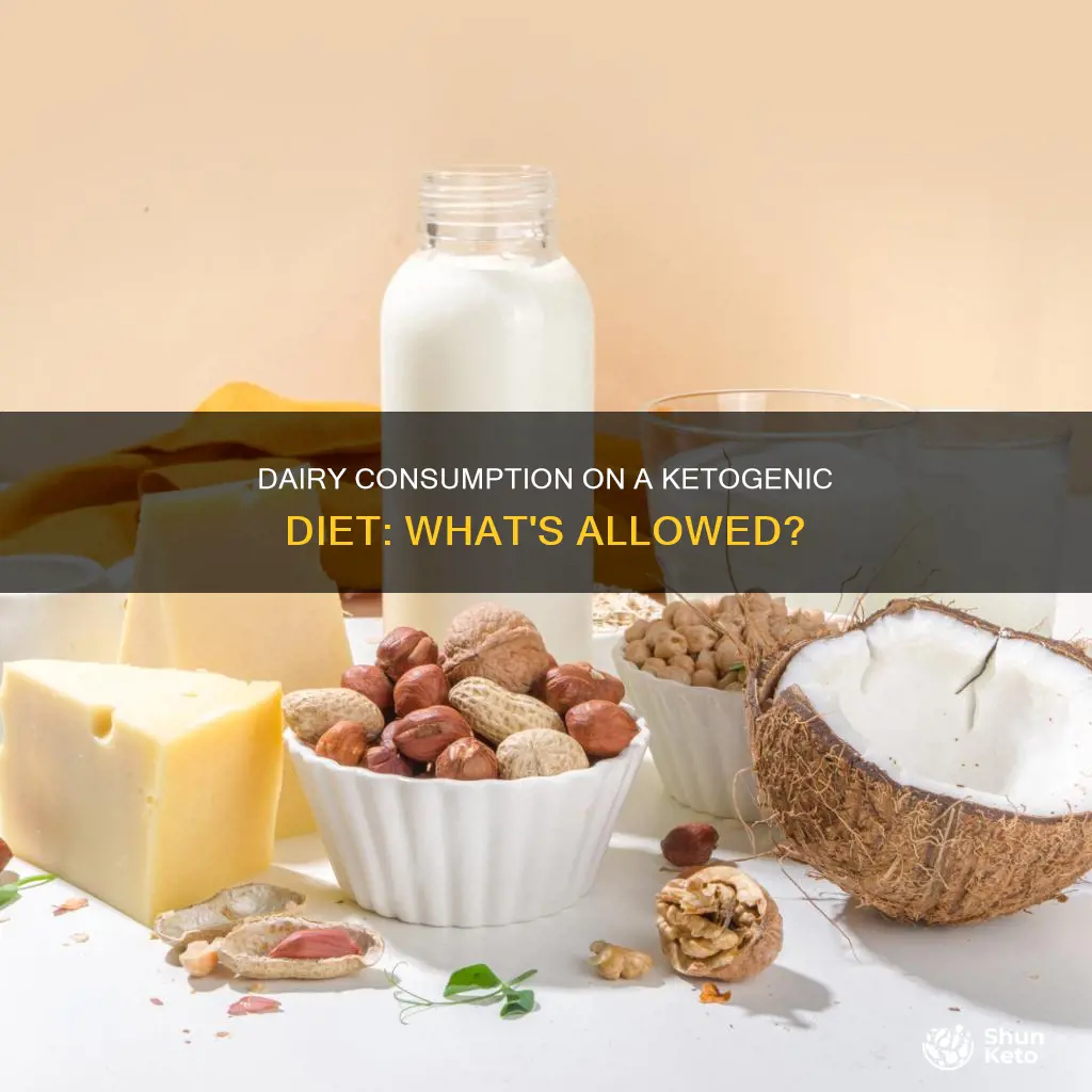 is dairy allowed on ketogenic diet