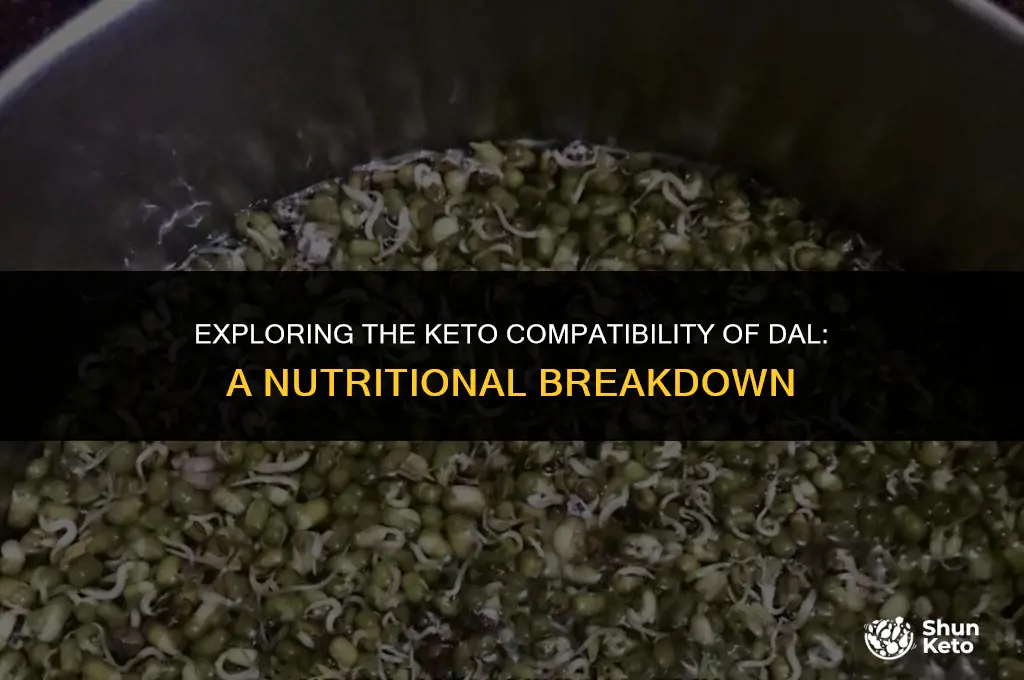 is dal keto friendly