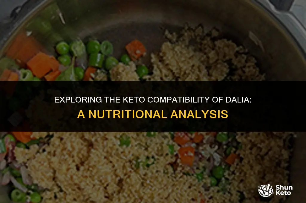 is dalia keto friendly