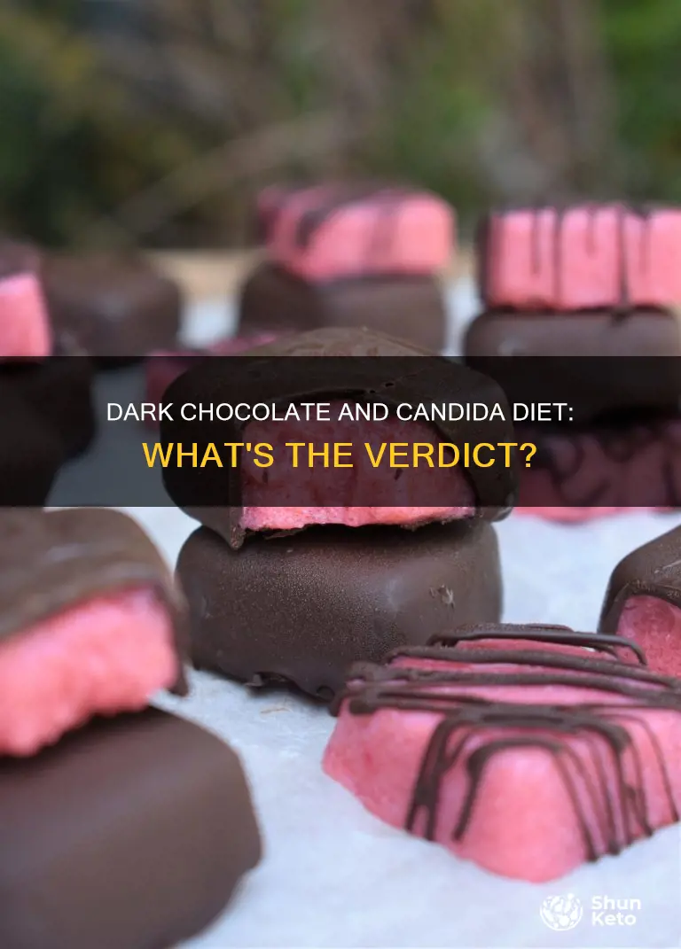 is dark chocolate ok on candida diet