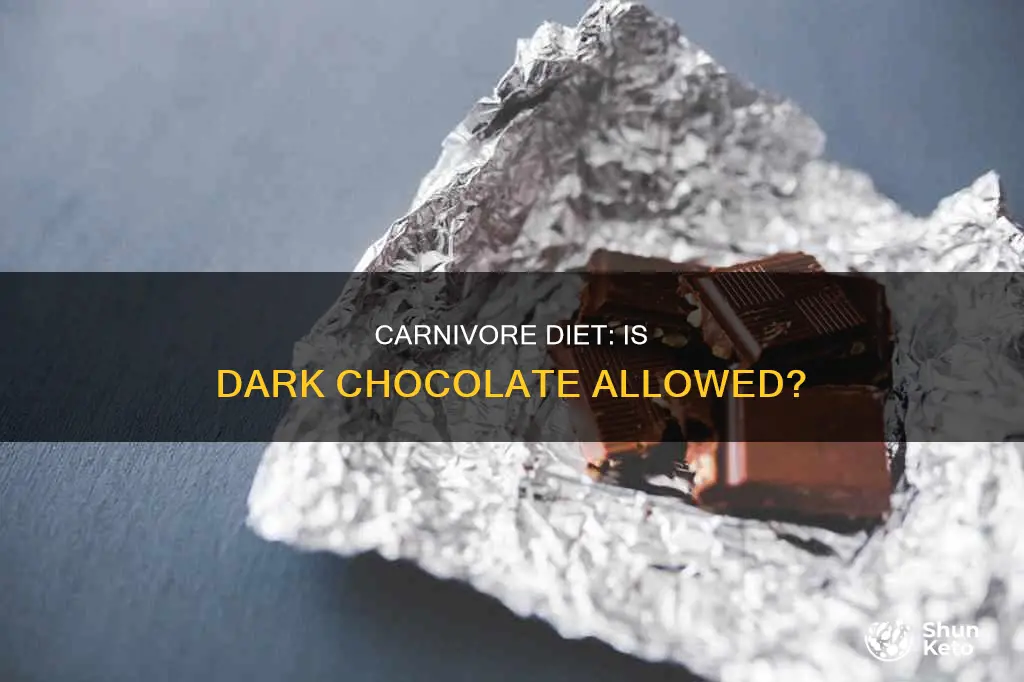 is dark chocolate ok on carnivore diet