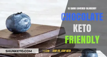 Indulge in Dark Chocolate Blueberry Bliss: A Keto-Friendly Treat