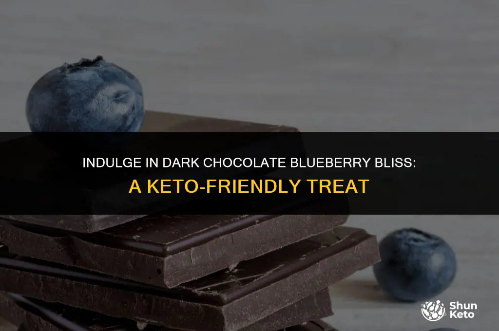 is dark covered bluberry chocolate keto friendly