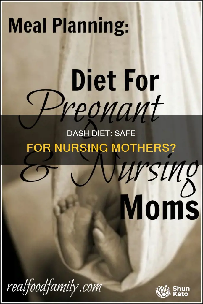 is dash diet ok for nursing mothers