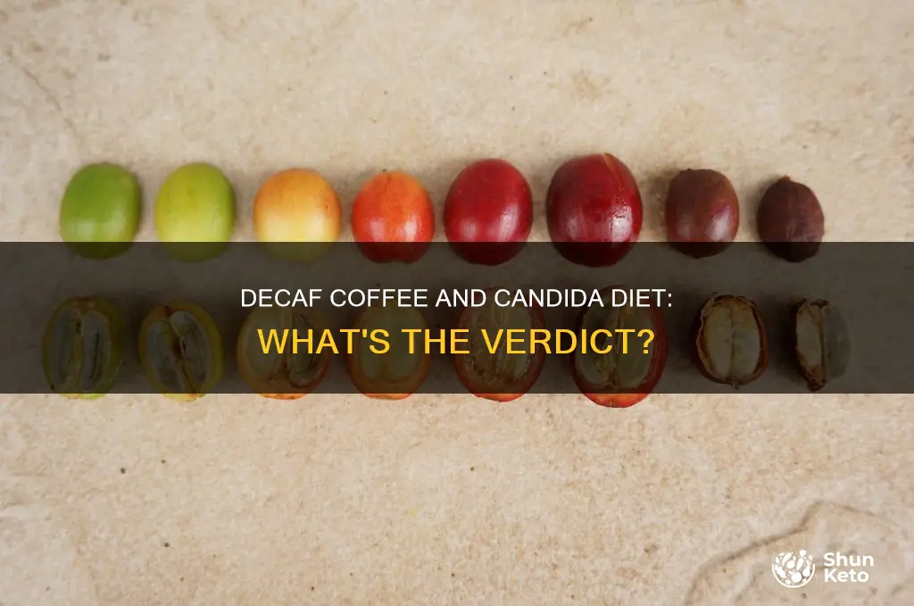 is decaf coffee ok on candida diet