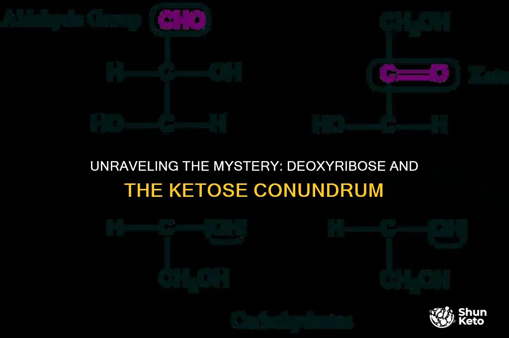 is deoxirobose a ketoser