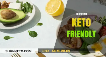 Exploring Dextrin: A Keto-Friendly Carbohydrate Alternative?
