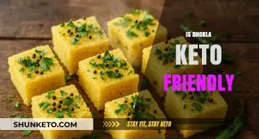 Exploring Dhokla's Keto Compatibility: A Nutritional Breakdown