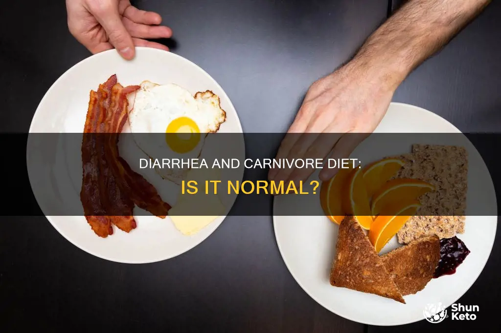 is diarrhea common on carnivore diet