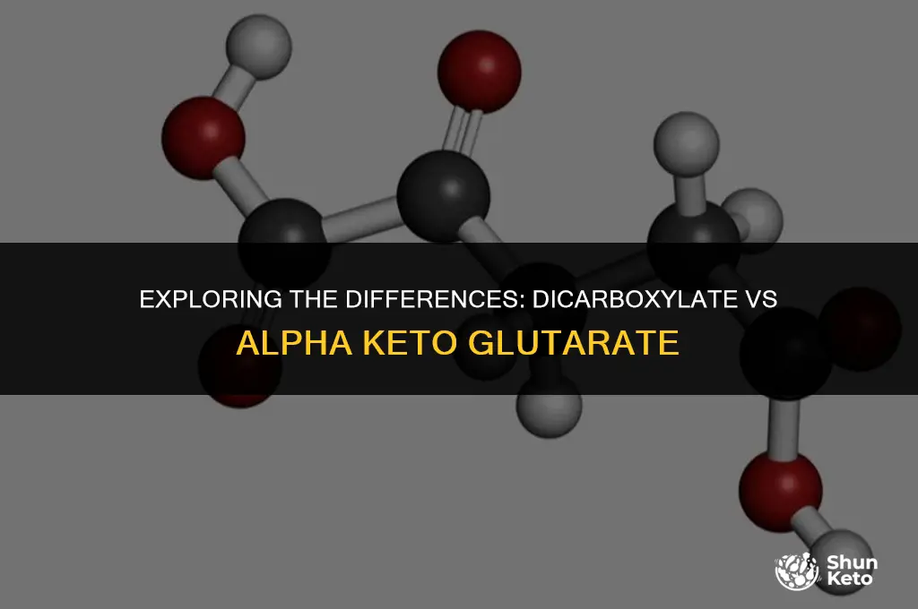 is dicarboxylate the same as alpha keto glutarate
