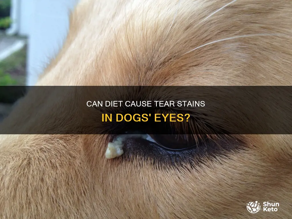 is diet causing the dack seepage from my dogs eyes