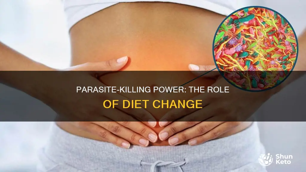 is diet change really that important for killing parasites