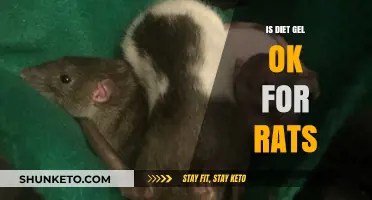 The Truth About Diet Gel for Rats