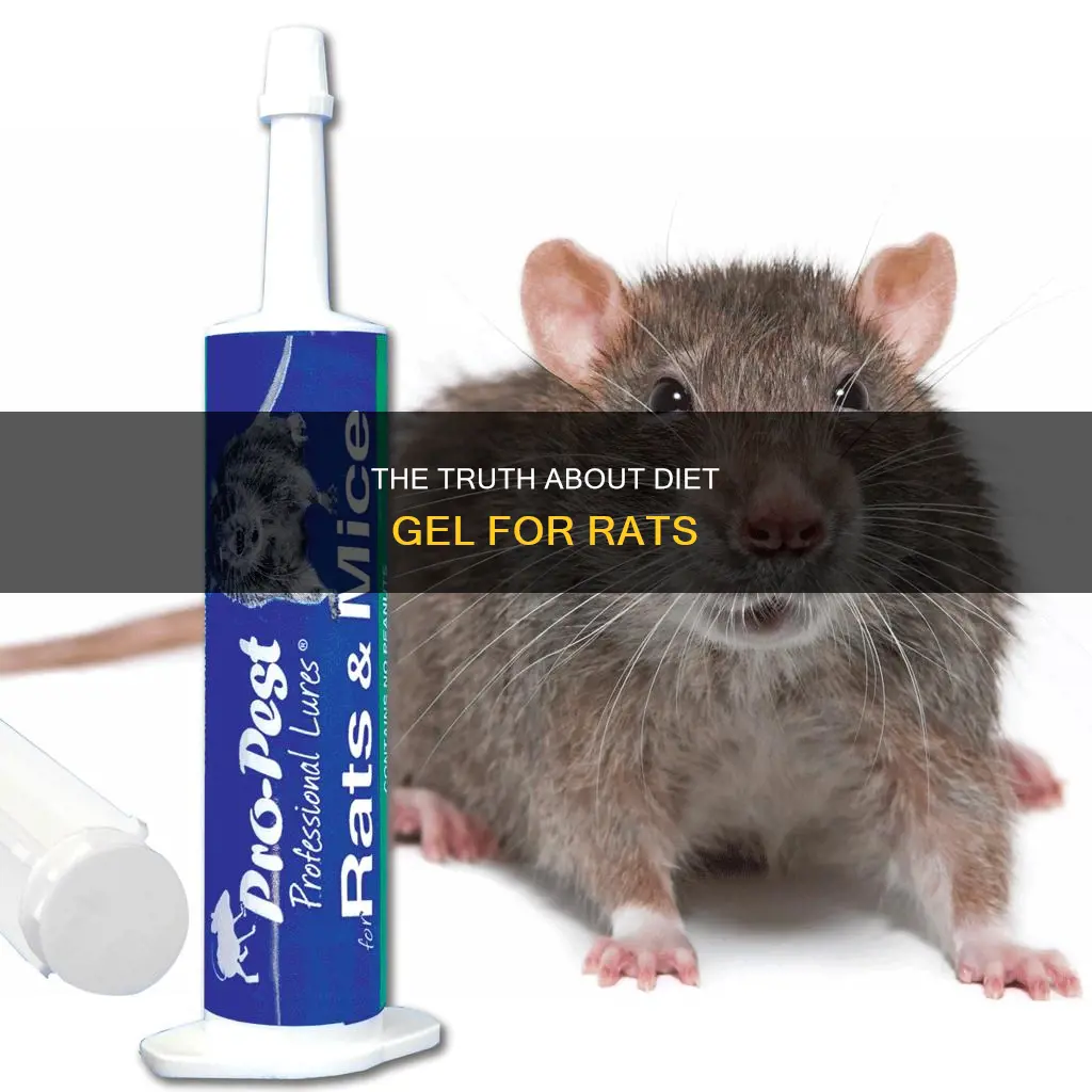 is diet gel ok for rats