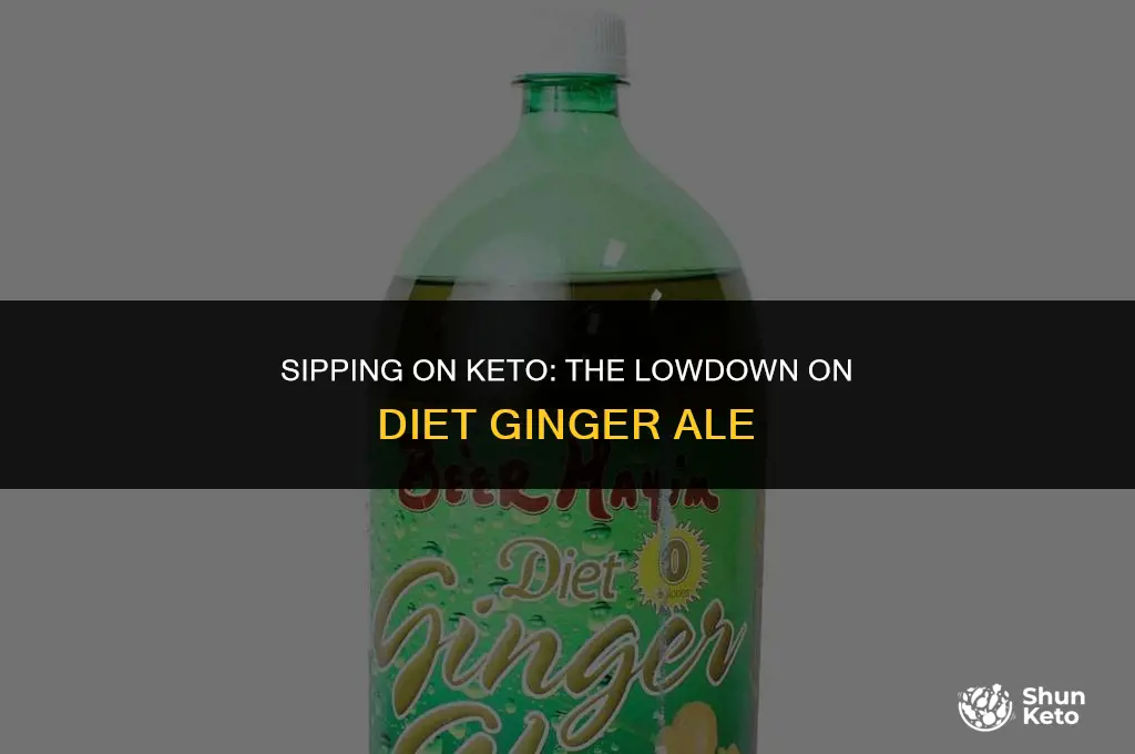 is diet ginger ale keto friendly