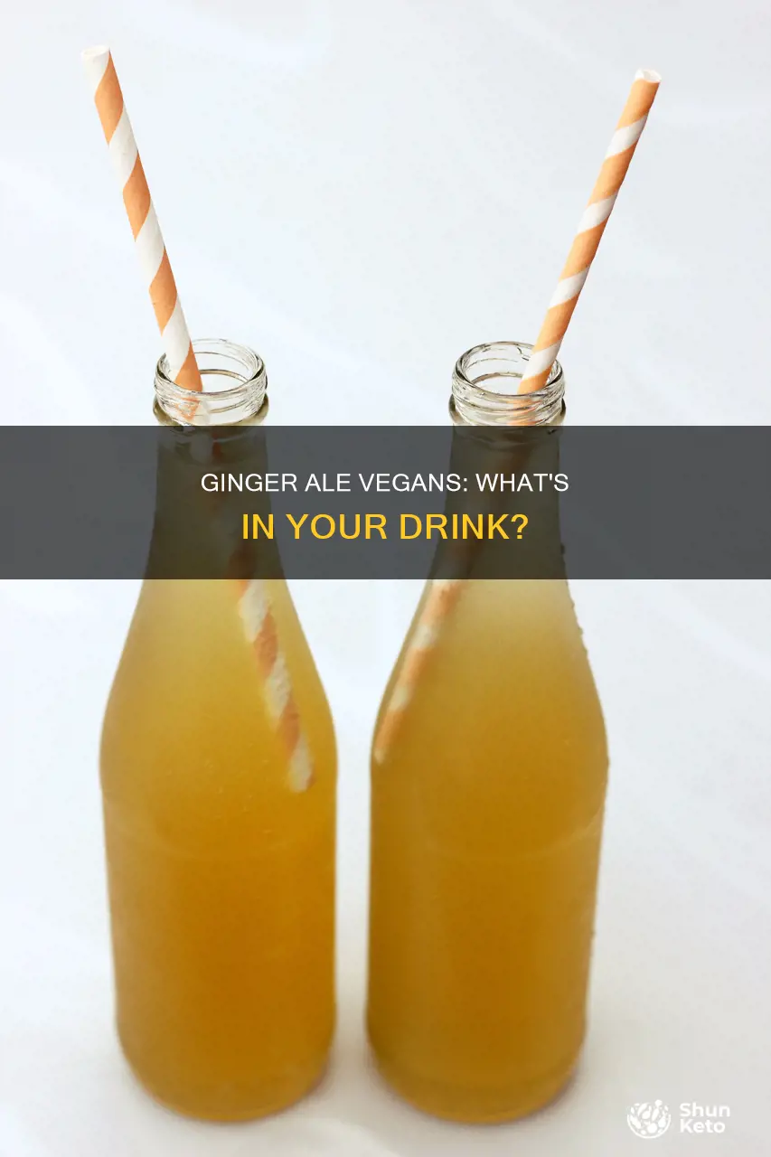 is diet ginger ale vegan