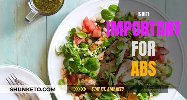 Unlocking Abs: The Diet Factor